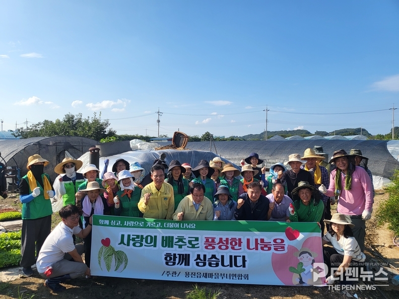 <strong>“용진읍 부녀연합회 회원들이 배추밭에서 김장김치 나눔을 위한 배추 식재 작업을 하고 있다” </strong>정성껏 배추를 심으며 이웃 사랑을 실천하는 지역 주민들 모습.