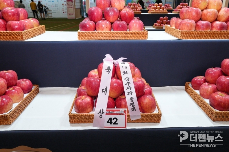“제19회 장수한우랑사과랑축제 품평회 대상작으로 뽑힌 장수사과.