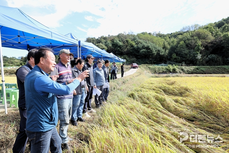 무주군 안성면 장기리 전시포에서 농가와 관계자들이 ‘신동진1’ 벼 생육 상태를 점검하고 있다.