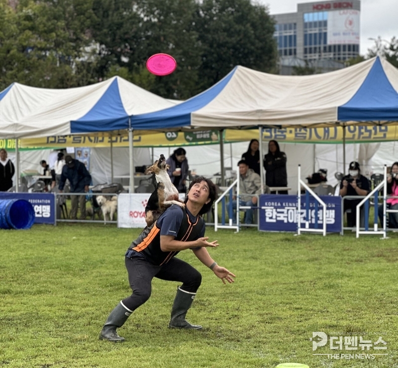 “FCI 국제 도그쇼와 다양한 반려동물 체험 프로그램으로 활기찬 모현공원 축제 현장”