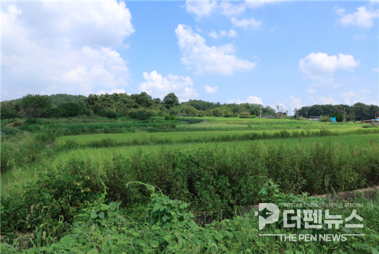 군산 개사동 패총 학술조사 착수 — 국립완주문화유산연구소 조사단이 27일 군산 개사동 패총 현장에서 본격적인 시굴조사에 들어가고 있다.