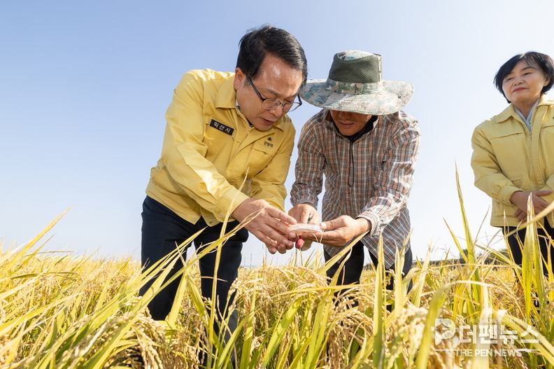 <strong>정헌율 익산시장, 오산면 벼 수발아 피해 현장 점검</strong><br>
<em>(29일 오후 전북 익산시 오산면 신지리 일원에서 정헌율 시장이 수발아 피해 벼를 살펴보고 있다.)</em>