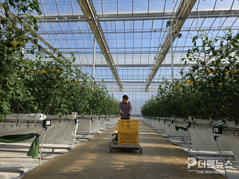 2026년 청년창업 스마트팜 패키지 사업 5개소 선정… 총사업비 22억 확보